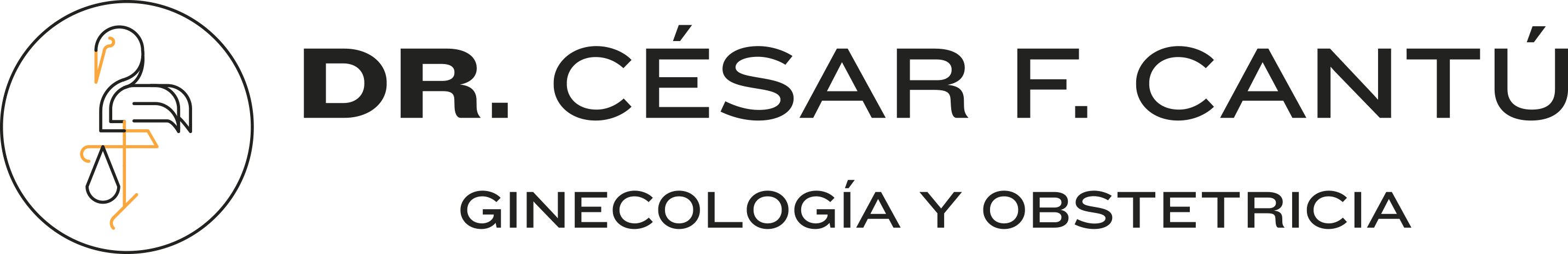 Dr. César Fausto Cantú Logo